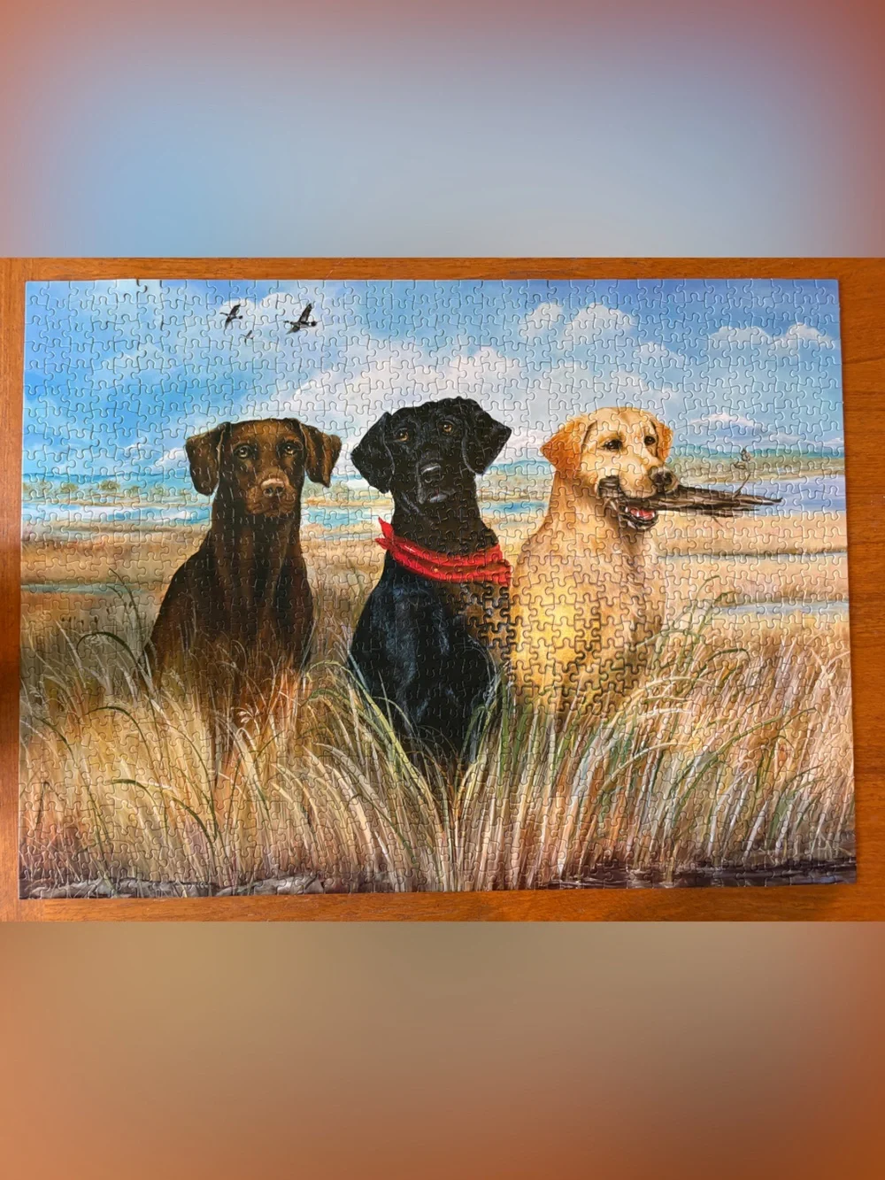 Ravensburger lot puzzles